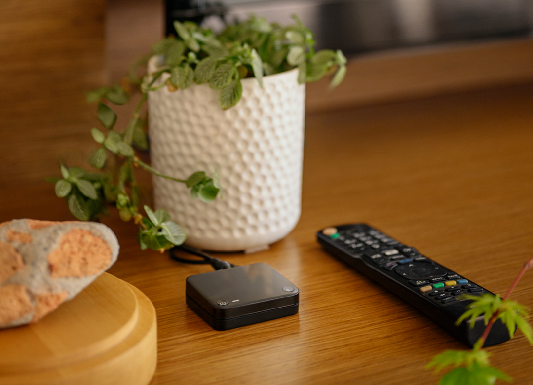 hearing aid accessories on a coffee table next to a plant in a white vase