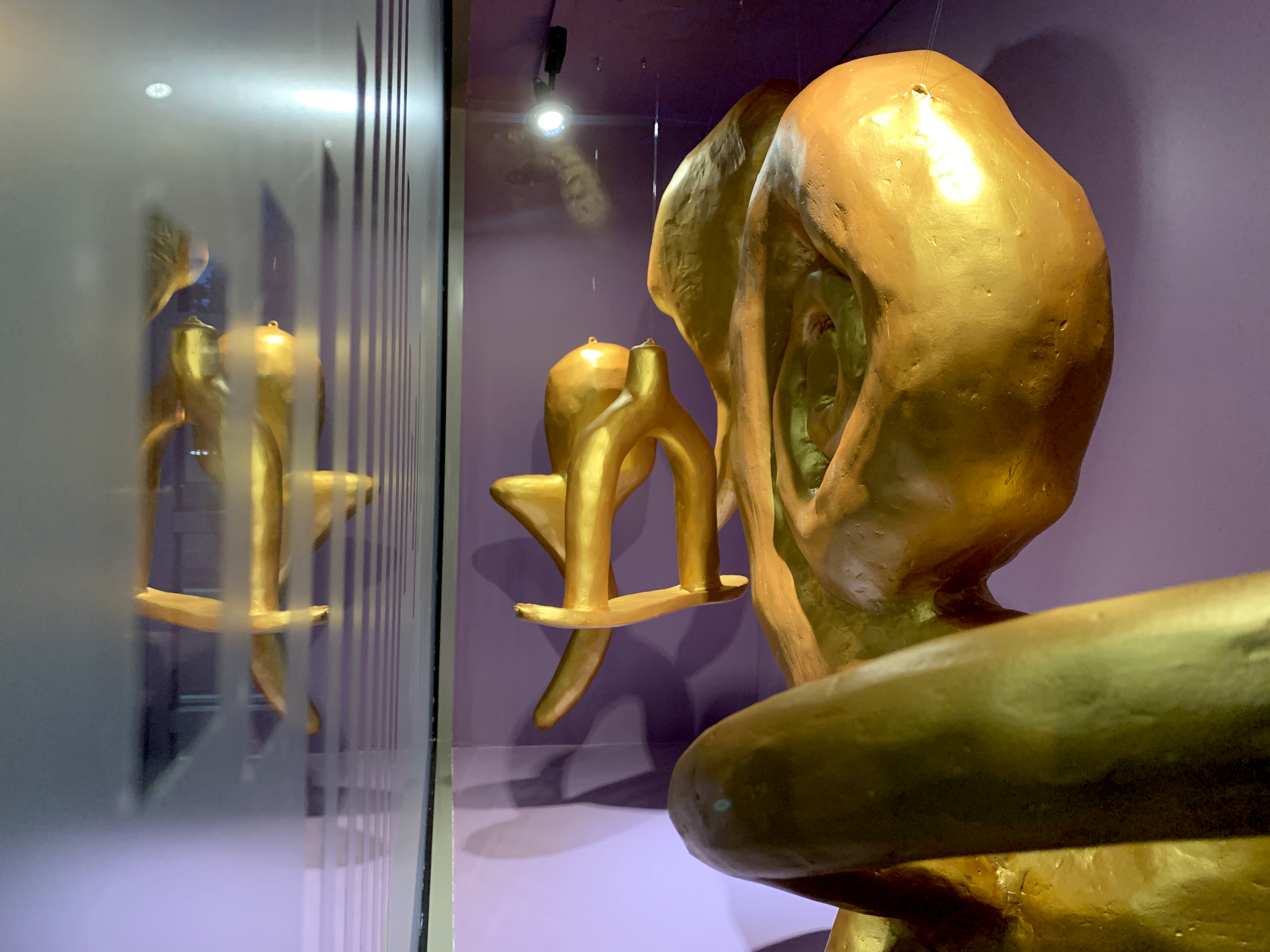 Sensorineural art installation by Kelsie Balehowsky at the Kelowna Art Gallery